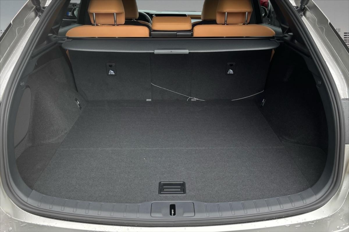 Lexus RX 450h+