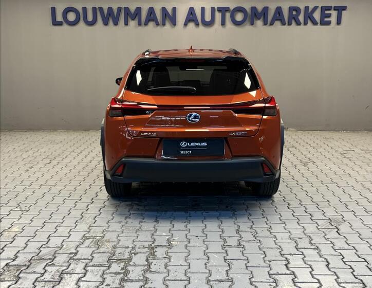 Lexus UX 250h 12