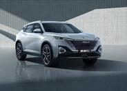 Dongfeng Ostatní 1
