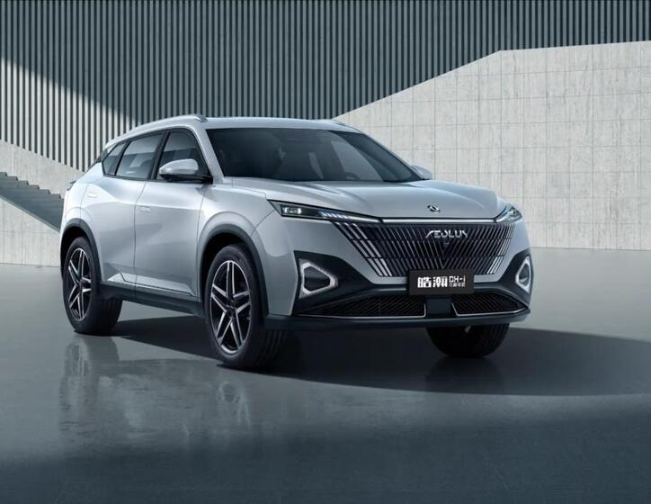 Dongfeng Ostatní 1