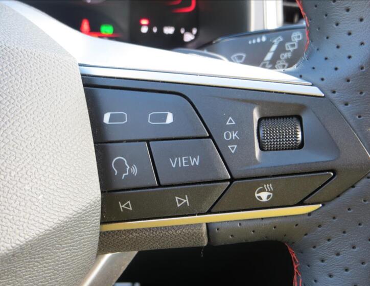 Seat Ateca 22