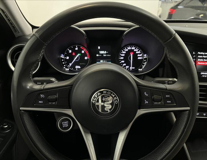 Alfa Romeo Giulia 14