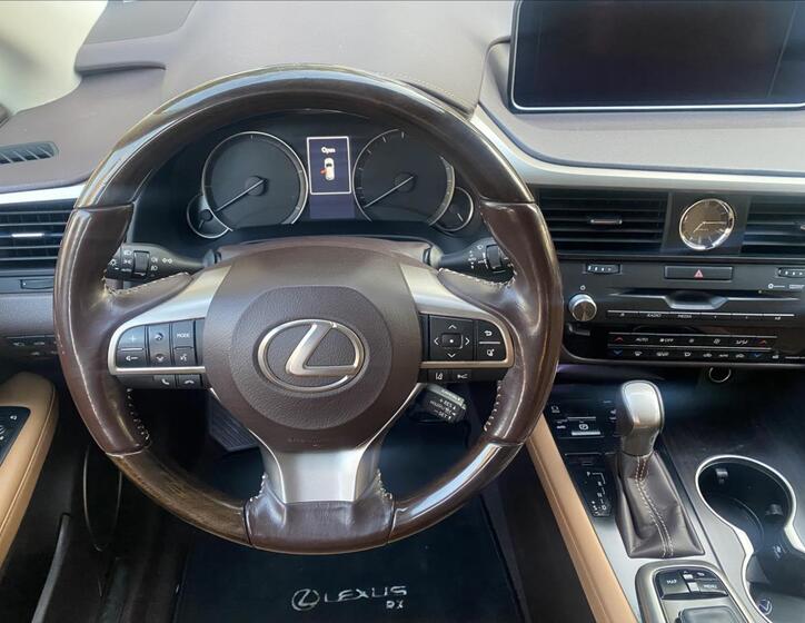Lexus RX 66