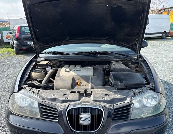 Seat Ibiza 25