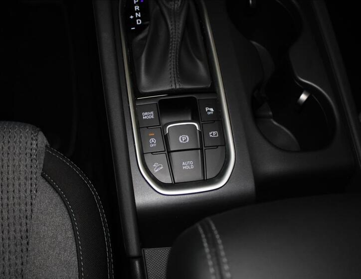 Hyundai Santa Fe 16
