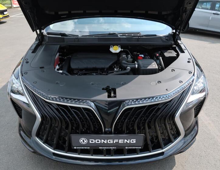 Dongfeng U-Tour 29
