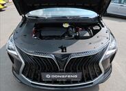 Dongfeng U-Tour 29