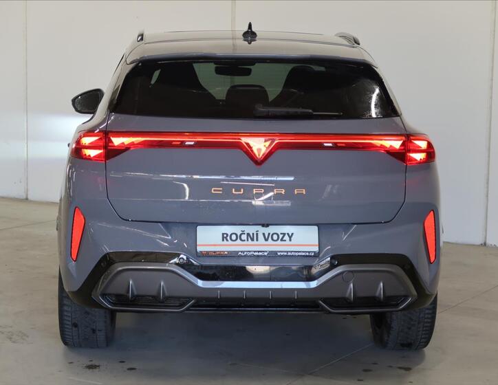 Cupra Terramar 9