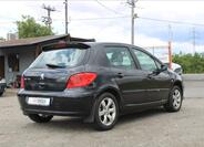 Peugeot 307 5