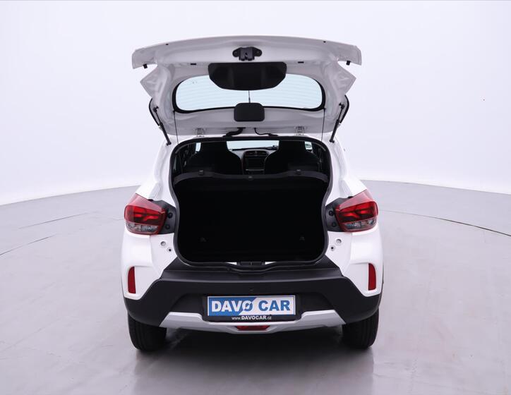 Dacia Spring 9