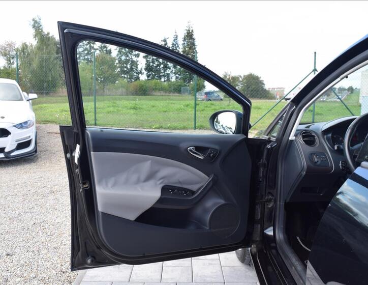 Seat Ibiza 26
