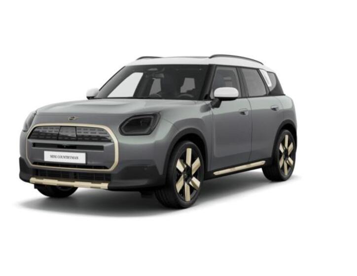 Mini Countryman 1