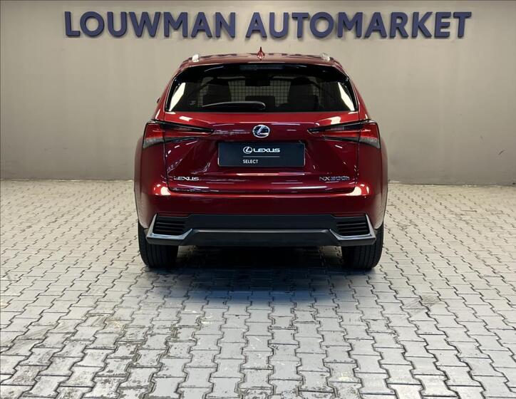Lexus NX 300h 12