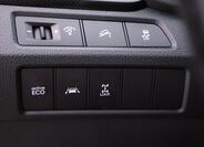 Hyundai Santa Fe 19