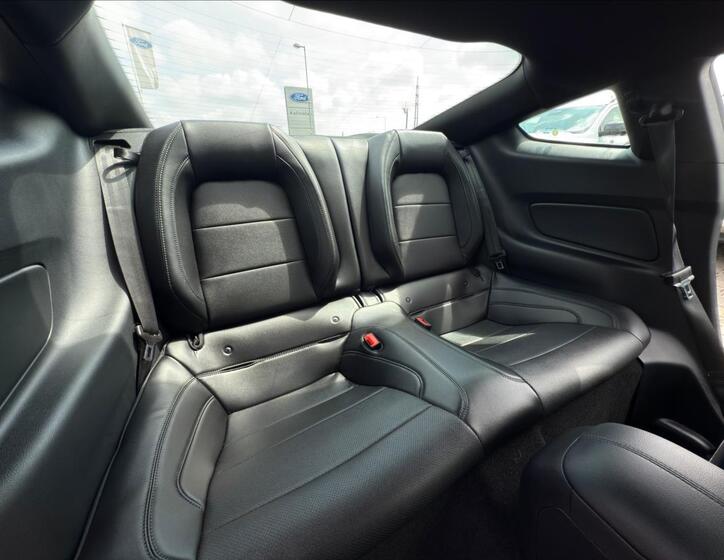 Ford Mustang 15