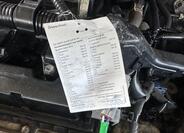 Suzuki Ignis 19