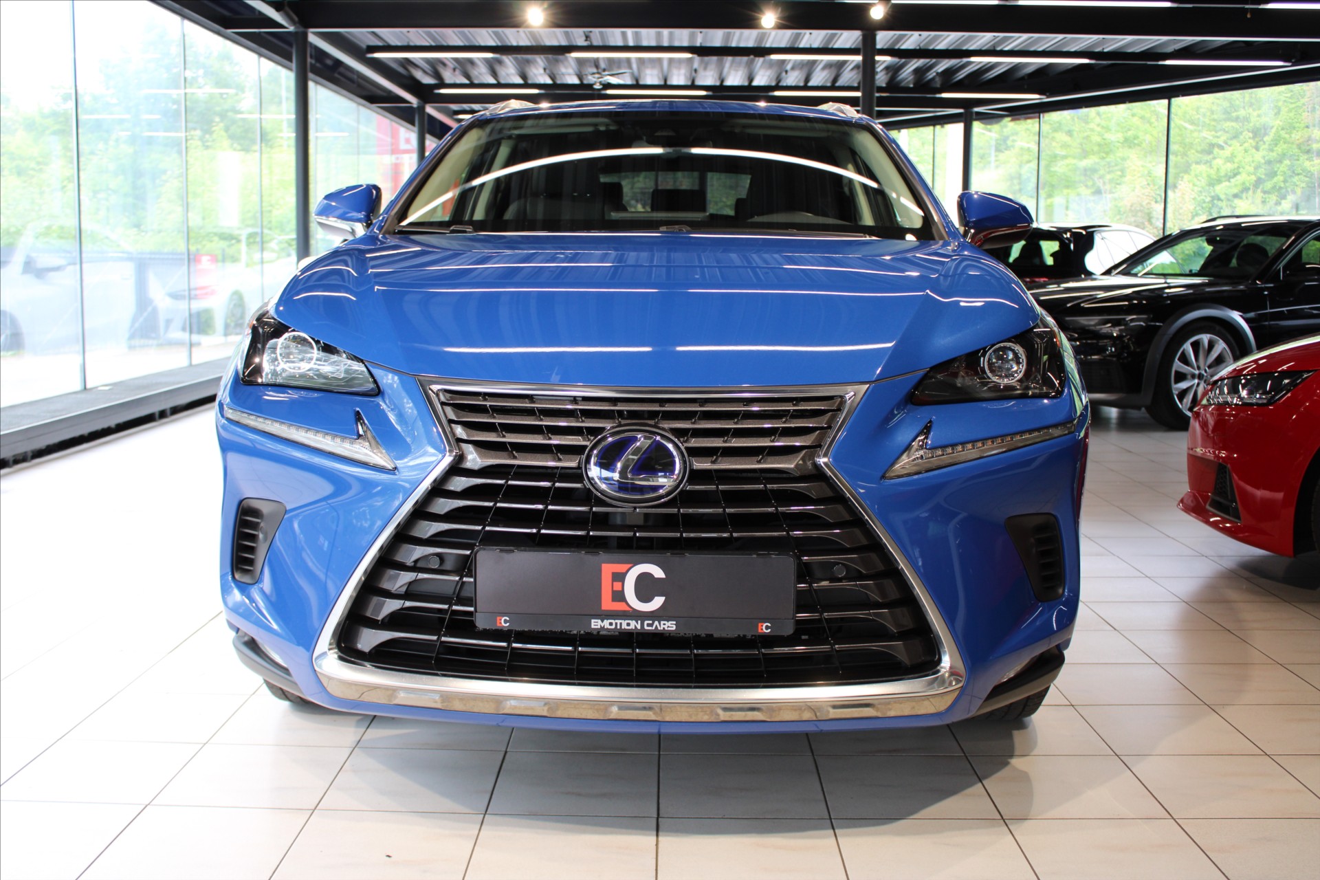 Lexus NX 300h