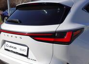 Lexus NX 350h 39