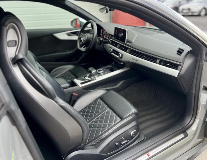 Audi S5 17