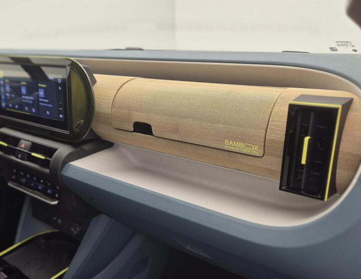 Fiat Grande Panda 10