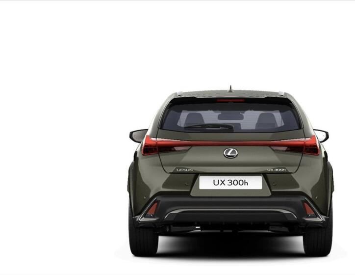 Lexus UX 300h 4