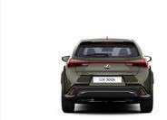Lexus UX 300h 4