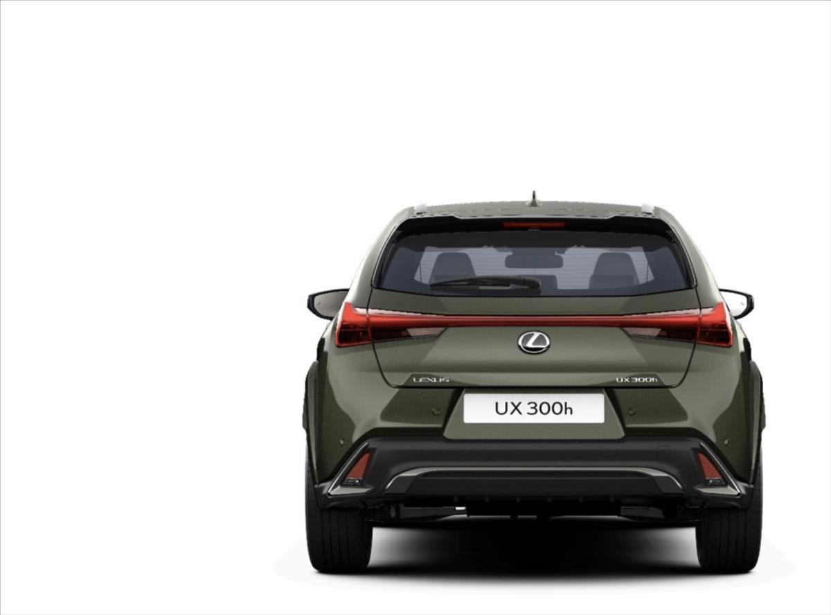 Lexus UX 300h
