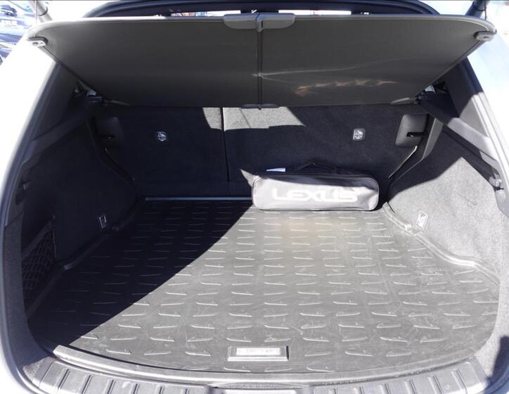 Lexus NX 350h 15