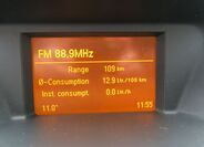 Opel Antara 16