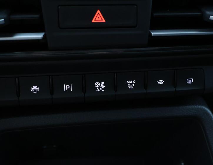 Ford Tourneo Connect 22