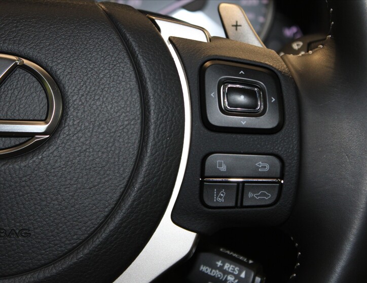 Lexus NX 300h 13
