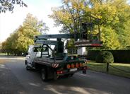 Renault Mascott 7
