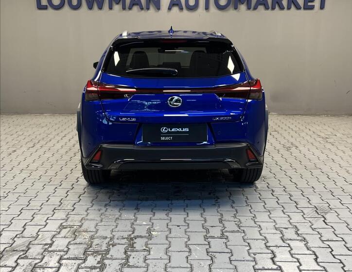 Lexus UX 300h 12