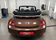Volkswagen Beetle 5