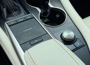 Lexus RX 450h 20