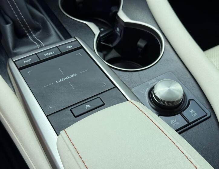 Lexus RX 450h 20