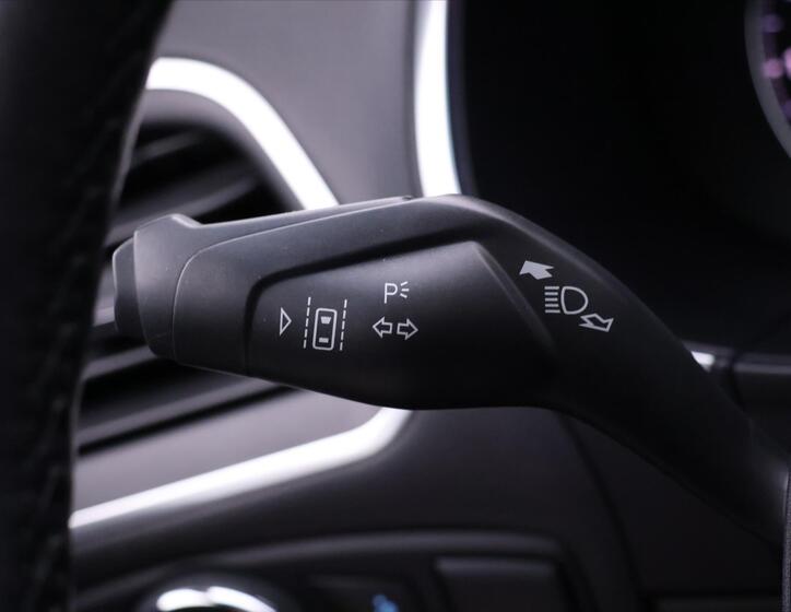 Ford Edge 18