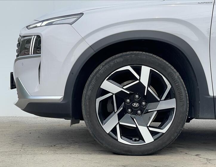 Hyundai Santa Fe 19