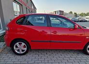 Seat Ibiza 33