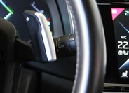 DS Automobiles DS9 23