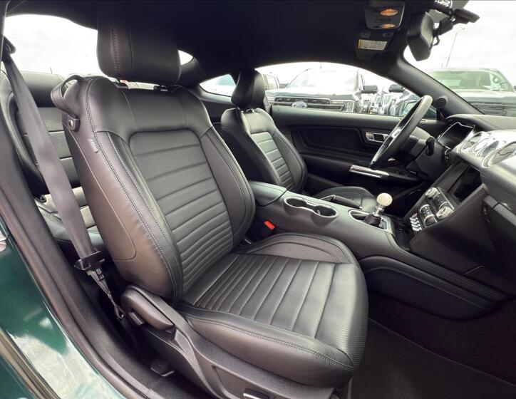 Ford Mustang 16