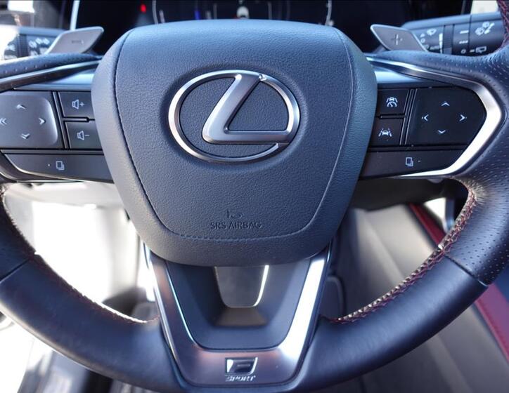 Lexus RX 500h 29