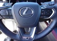 Lexus RX 500h 29