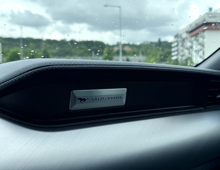 Ford Mustang 16