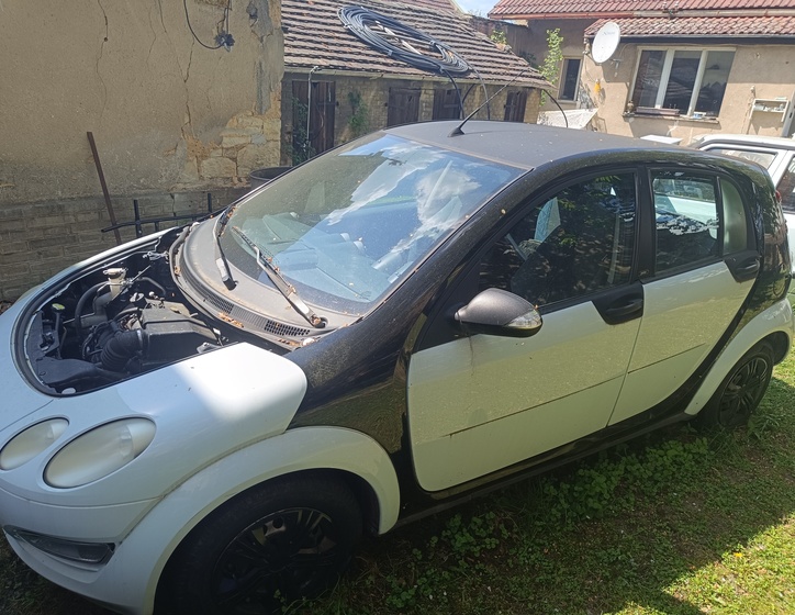 Smart Forfour 1