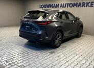 Lexus NX 350h 2