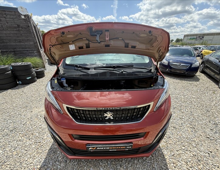 Peugeot Traveller 29