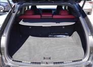 Lexus RX 500h 15