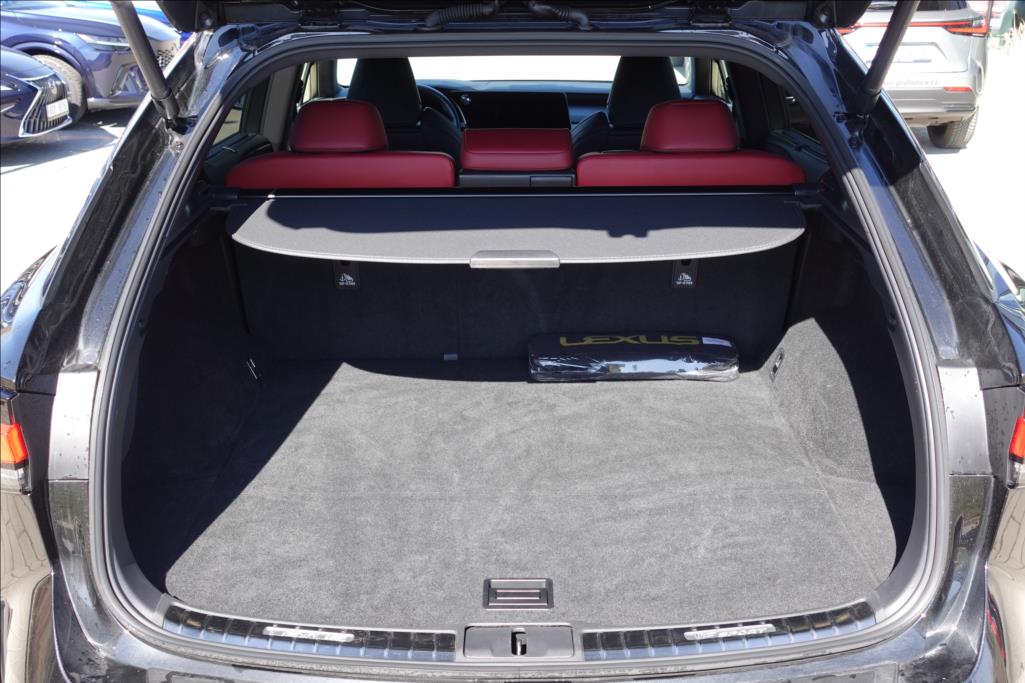 Lexus RX 500h