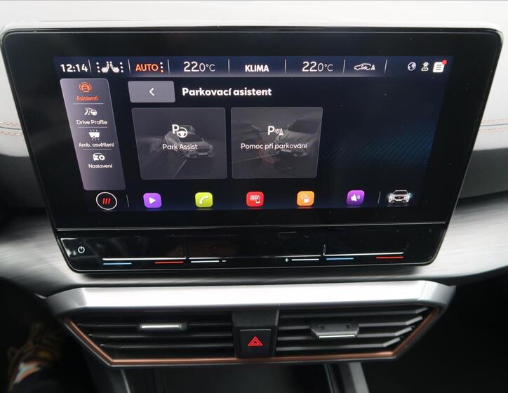 Cupra Formentor 29